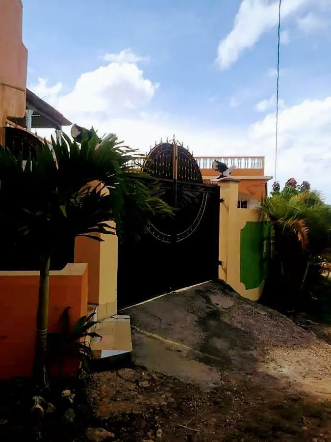 ** فندق مبيت وإفطار مبيت وإفطار Spring Garden Sue Yen Sen Place جامايكا
