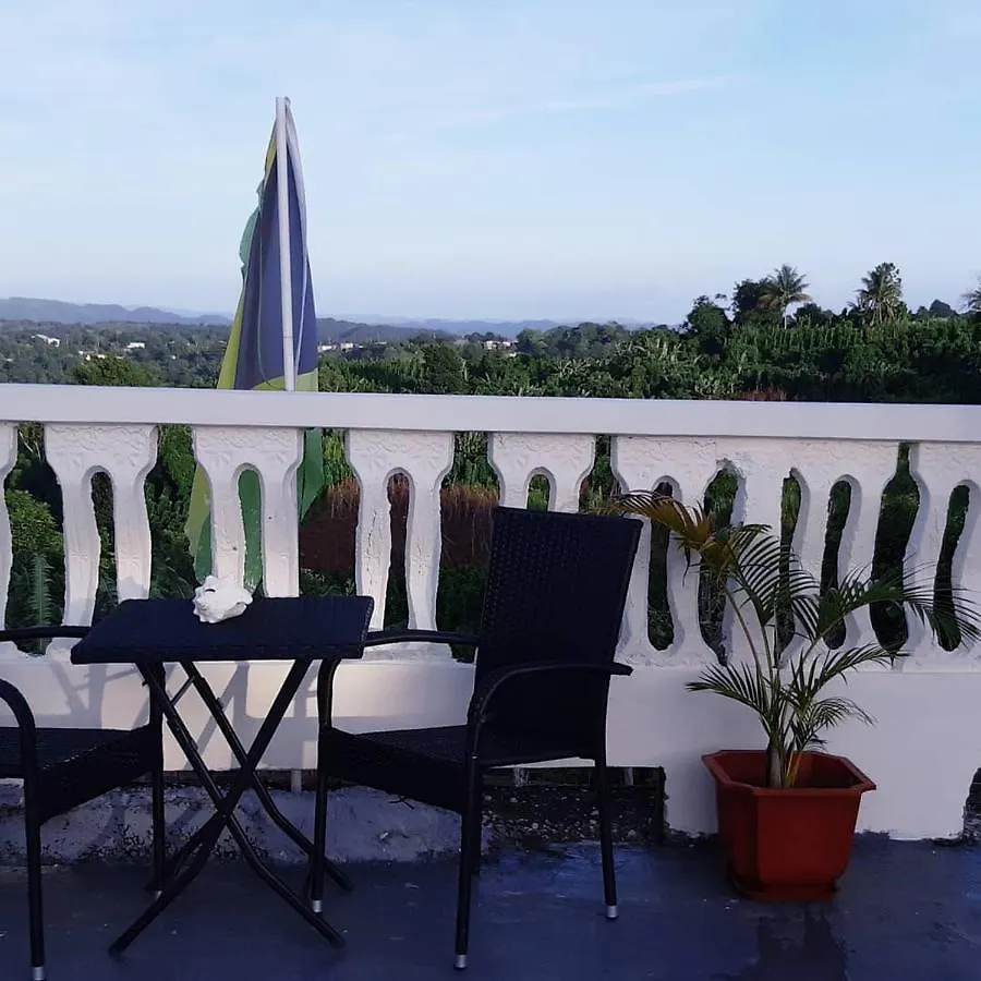 **  Sue Yen Sen Place Bed & Breakfast Spring Garden Jamaika