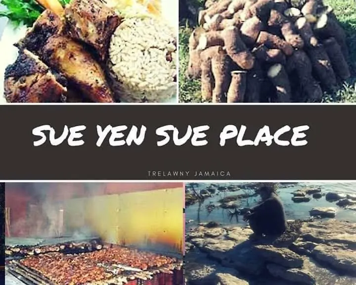Sue Yen Sen Place Bed & Breakfast Spring Garden Jamaika